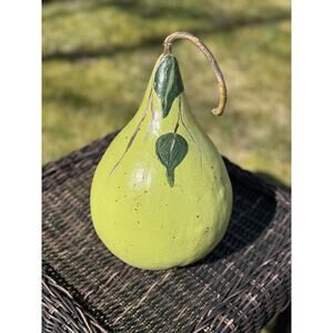 Hand Painted Gourd Pear Leaf Green Artisan Seeds Inside Folk Art 10" Fruit Stem